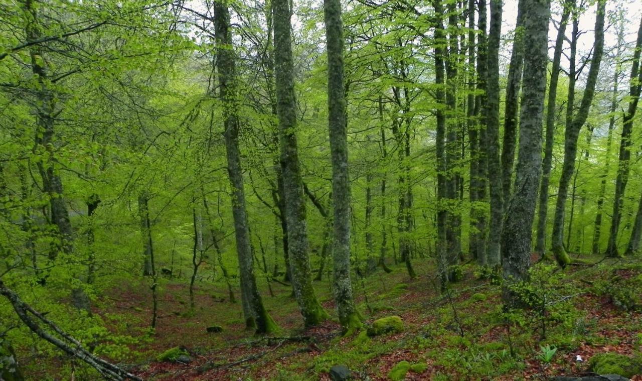 Turismo Rural El Sidron Pension Piloña Buitenkant foto
