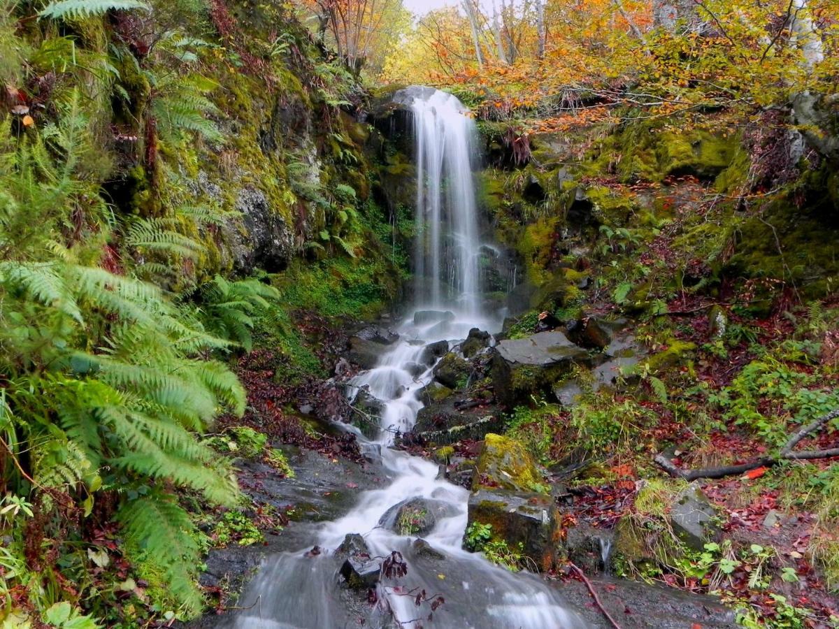 Turismo Rural El Sidron Pension Piloña Buitenkant foto