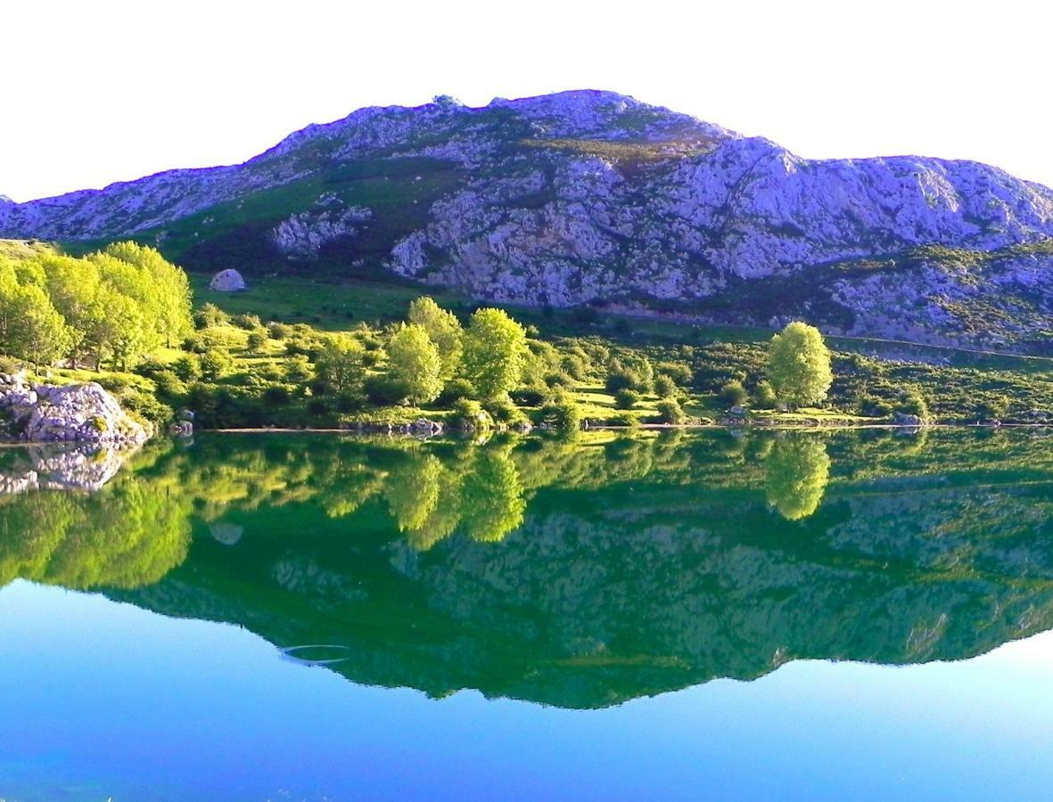 Turismo Rural El Sidron Pension Piloña Buitenkant foto
